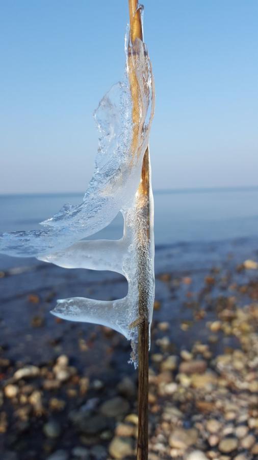 Hotel Alt Wittower Krug Wiek auf Rügen Eksteriør bilde